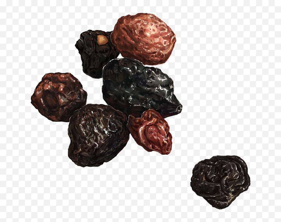 Raisins - Date Palm Png,Raisin Png