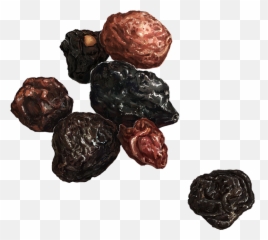 Raisins - Date Palm Png,Raisin Png