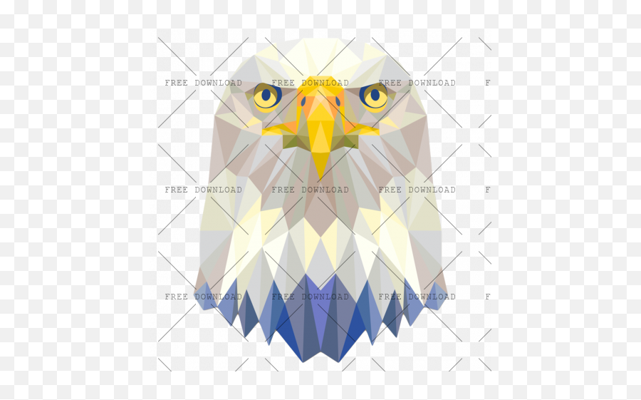 Eagle Hawk Kite Bird Png Image With Transparent Background Owl