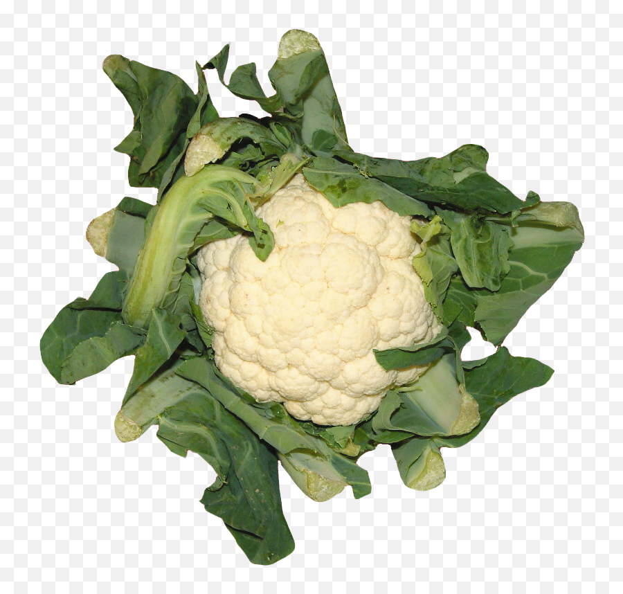 Cauliflower Png In High Resolution - Cauliflower,Cauliflower Png