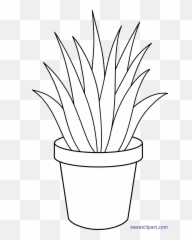 Aloe Plant Lineart Clip Art - Sweet Clip Art Flowerpot Png,Aloe Png