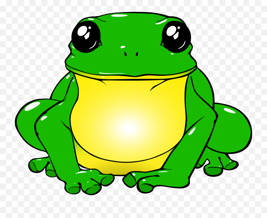 Png Sapo Transparent - Cartoon Fat Frog Drawing,Toad Png - free transparent  png images 