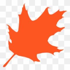 Vector Graphics Silhouette Clip Art - Oak Tree Leaves png