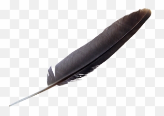 Feather Png Transparent Image Pngpix - Transparent Background Quill Png,Black Feather Png