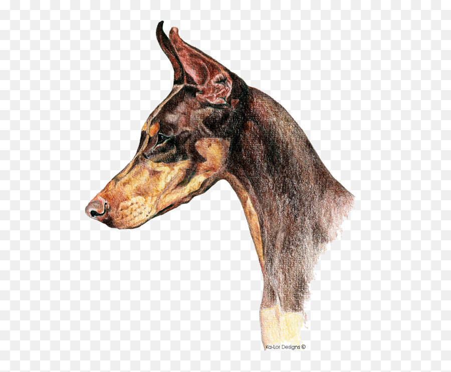 Doberman Pinscher Tote Bag - Drawing Of Doberman Dog Png,Doberman Png