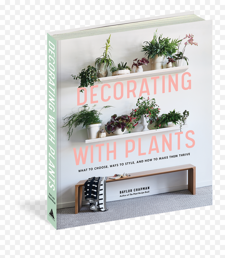 Download Hanging Plants Png Image - Decorating With Plants Baylor Chapman,Hanging Plants Png