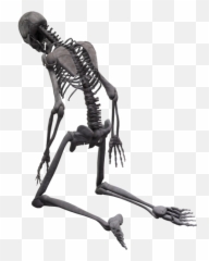 Skeleton Png - Skeleton Png,Skeleton Png Transparent