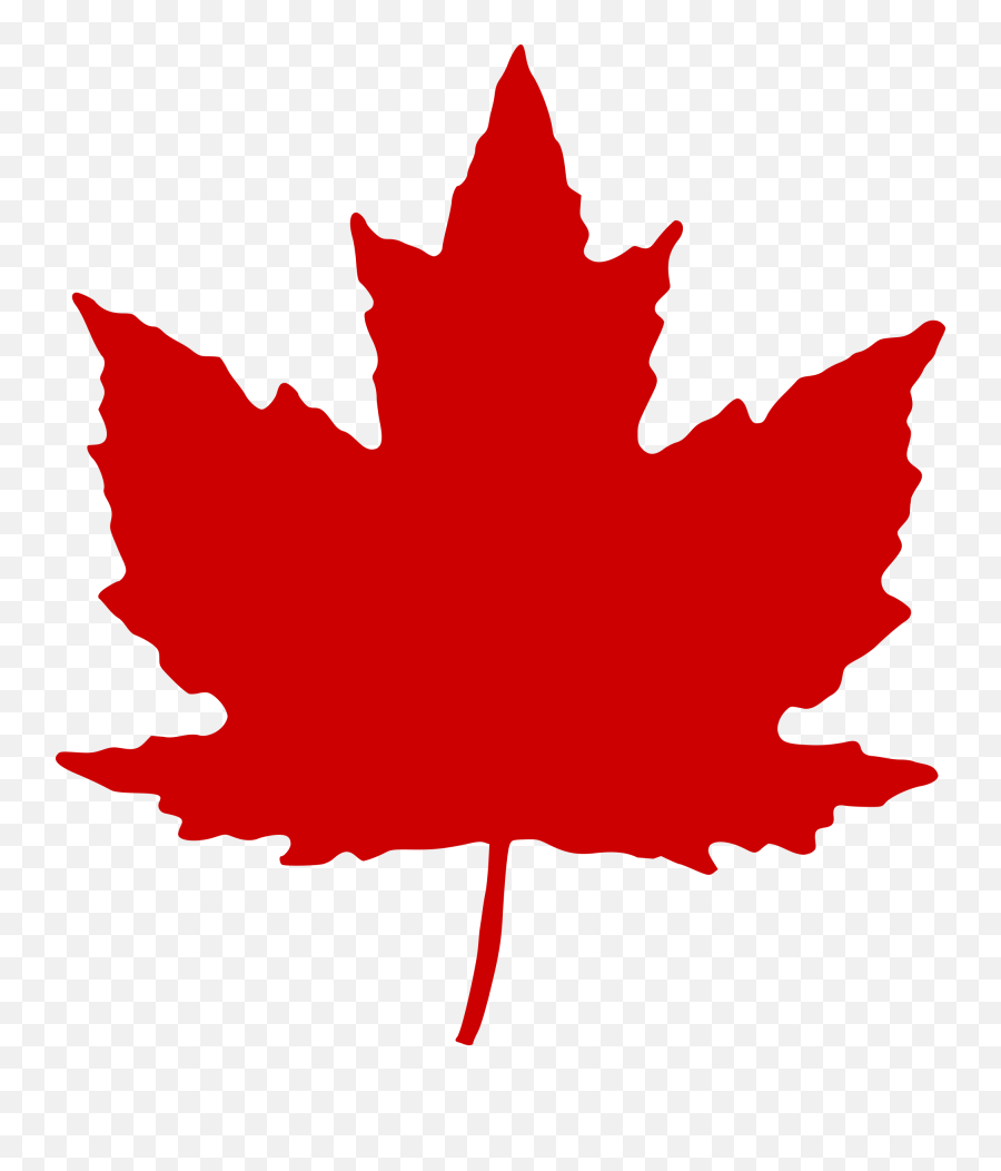 Maple Leaf Clipart Transparent Png - Stickpng Royal Canadian Air Force,Leaf Transparent Background