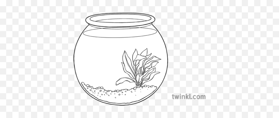 Fishbowl Black And White 1 Illustration - Twinkl Imagenes De Hormiga En Blanco Y Negro Png,Fishbowl Png