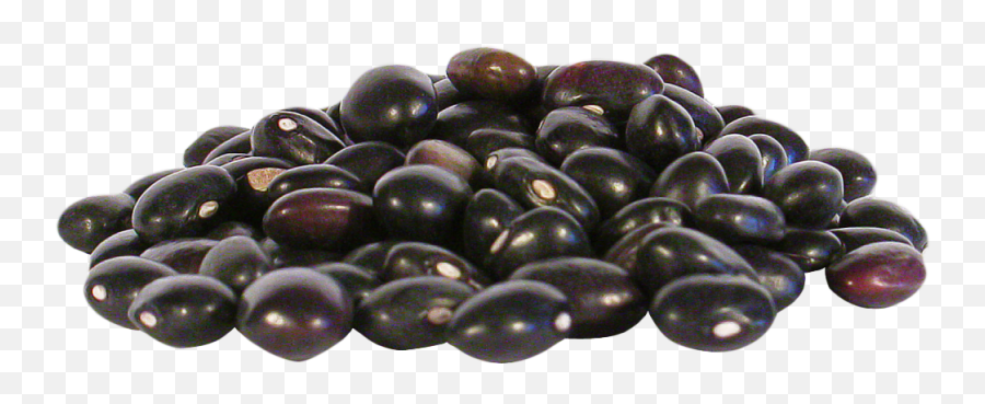 Black Beans Png Image - Black Beans Png,Beans Png