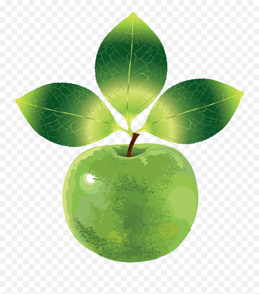 Download Green Appleu0027s Png Image For Free - Clip Art,Apples Transparent Background