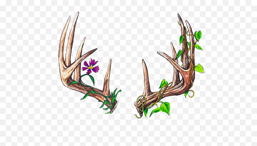 Druid Galaxy S4 Case - Antler Drawing Png,Druid Png