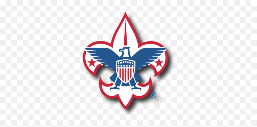 Boy Scouts of America Rare Regional Vice President Emblem Patch Brand 3
