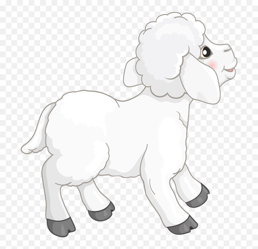 Transparent Background Lamb Clipart - Curly Png,Sheep Transparent Background