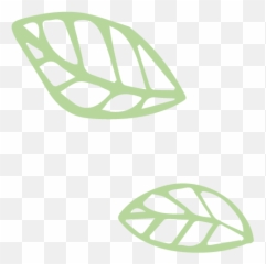 Lome Super Fruit Shop - Estore Vertical Png,Superfruit Logo
