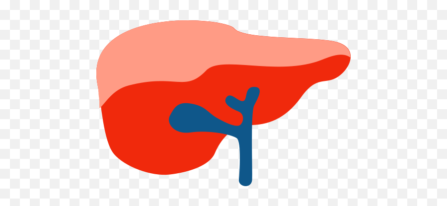 Liver Vector Icons Free Download In Svg Png Format - Whitechapel Station,Intestine Icon