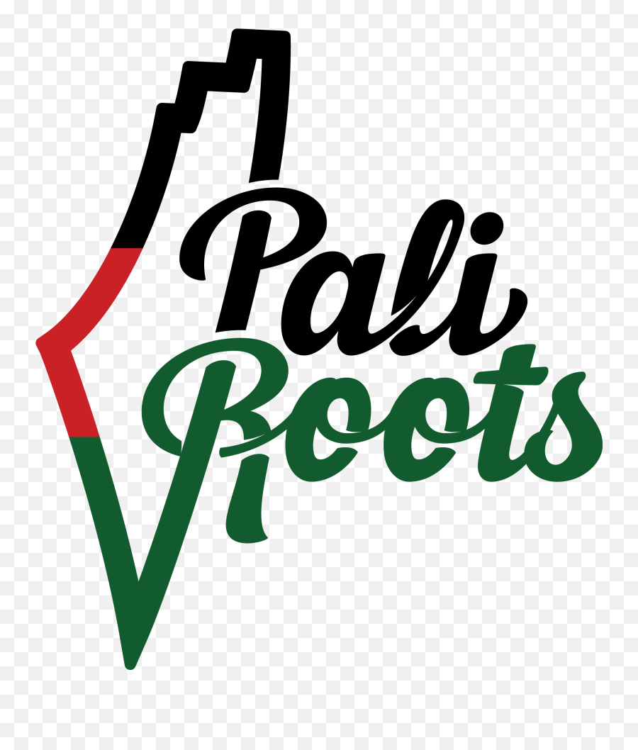 Top 5 Palestinian Pop Influencers U2013 Paliroots - Language Png,Dj Khaled Icon