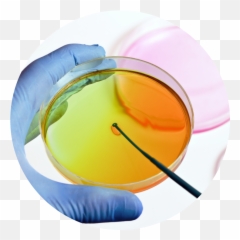 About Kml Labs Inc - Prueba De Eficacia Desinfectantes png
