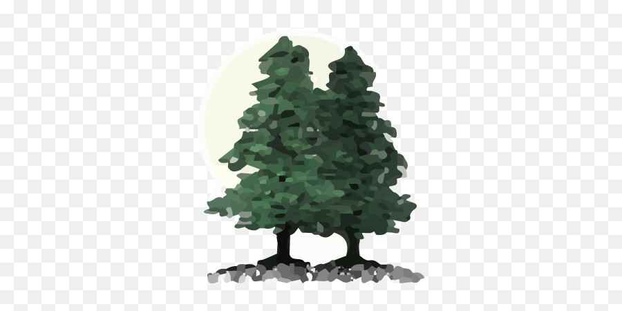 Evergreen Tree Landscape Ideas For Westchester County - Cupressaceae Png,Evergreen Tree Icon