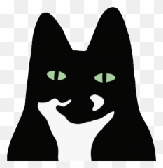 Les Ronronneries Custom Portraits And Cat Furniture - Black Cat png