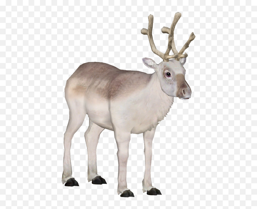 Cartoon Peary Caribou Png Image With No - Peary Caribou Png,Caribou Png