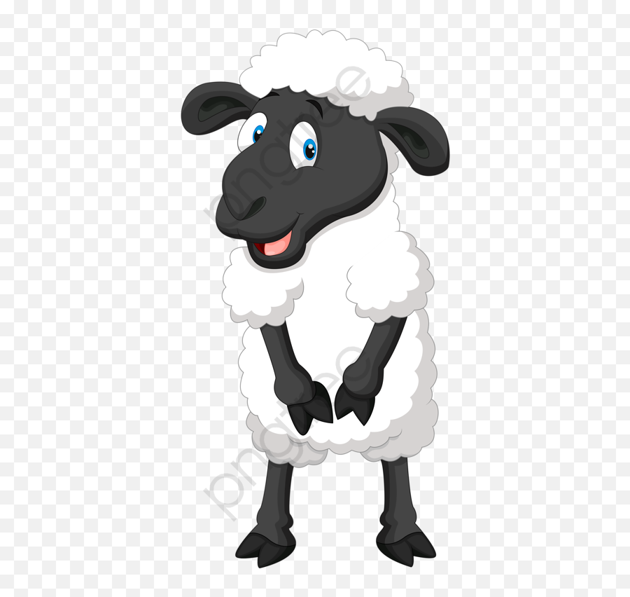 Happy Lamb Wool - Sheep Graphic Png,Sheep Png