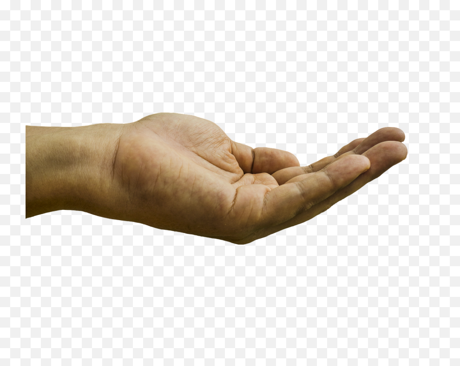 Hand Palm Png Images Collection For Free Download Llumaccat - Come Here Hand Gesture,Palm Png