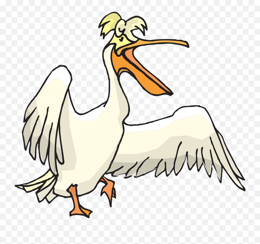 Pelican Png - Pelican Clipart Png,Pelican Png
