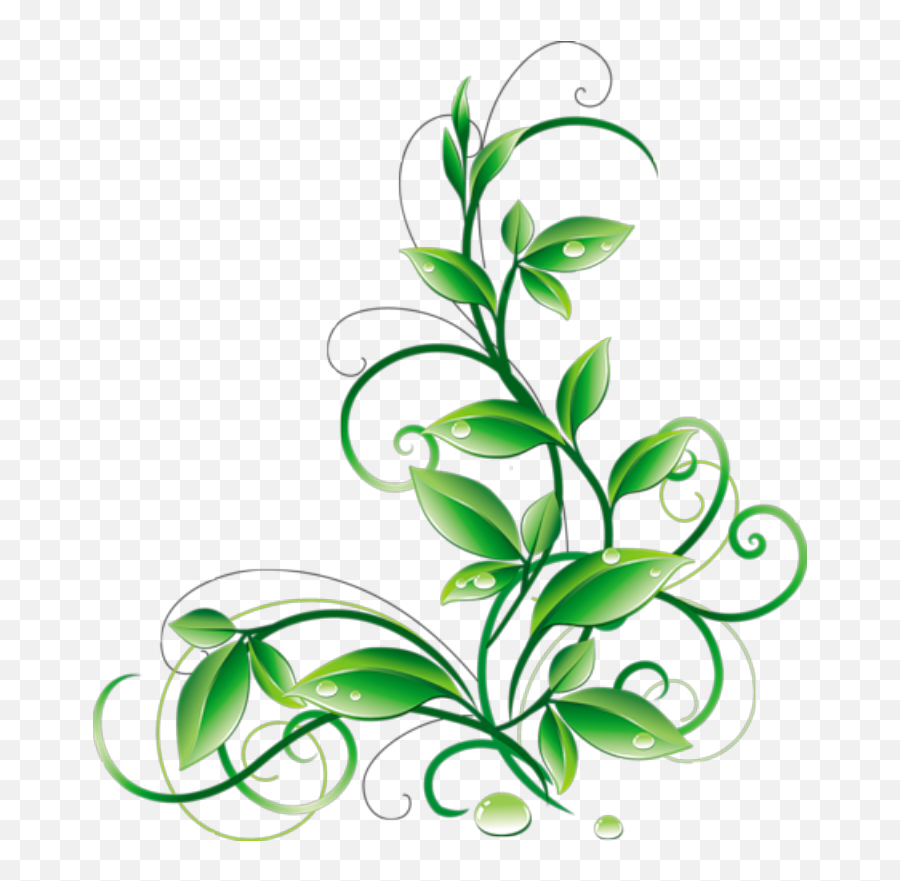 Flower With Leaf Png Free Files - Green Flower Vector Png,Droplets Png