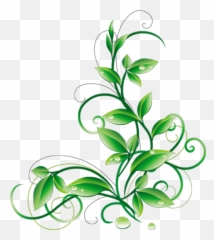 Flower With Leaf Png Free Files - Green Flower Vector Png,Droplets Png