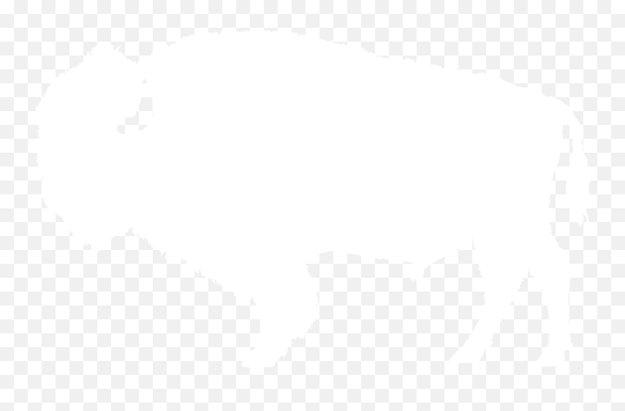 Bison Outline Clip Art - Bison Png White Transparent Png Bison Black And White Outline,Bison Png