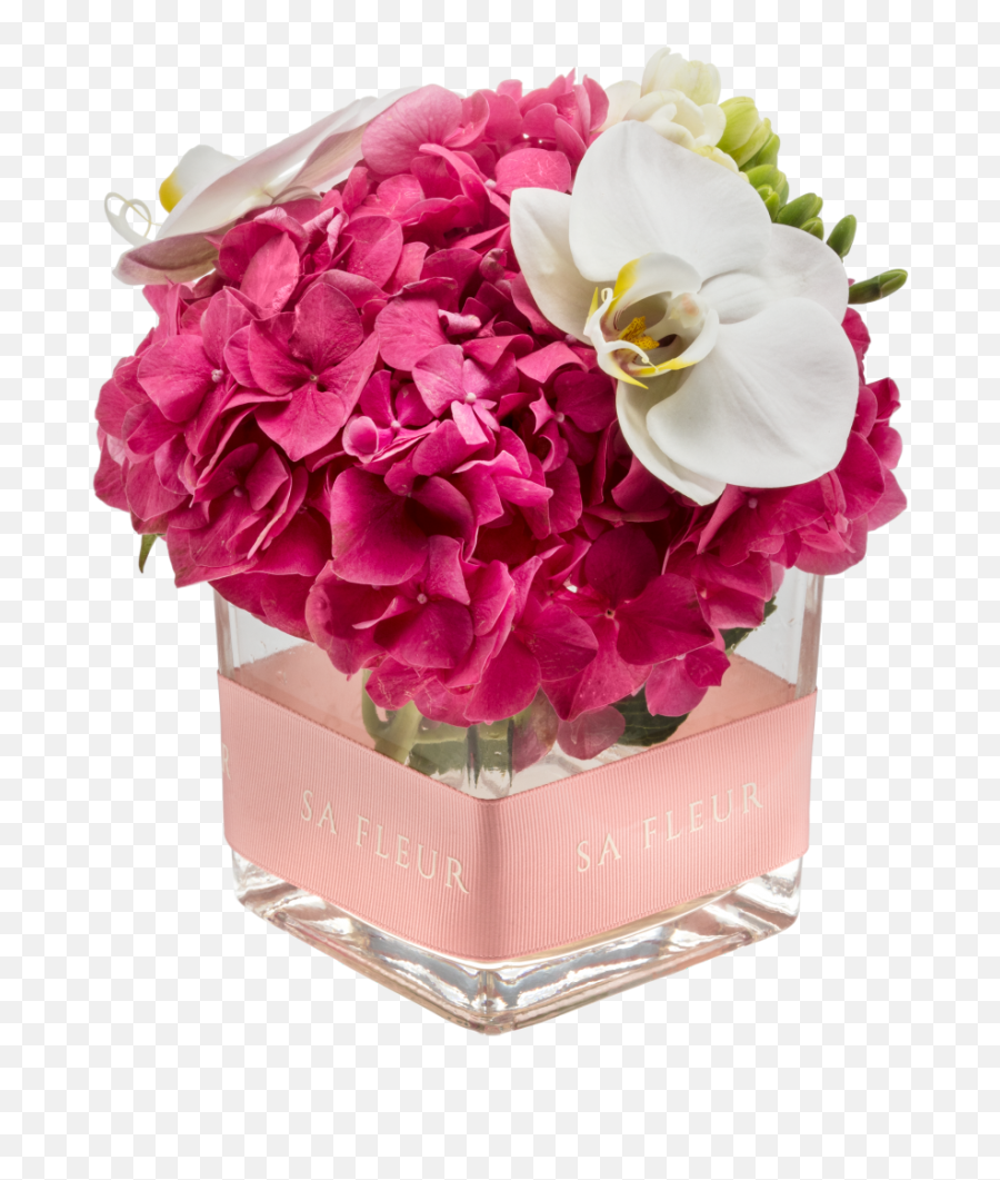 A Brand New E - Bouquet Png,Damask Png