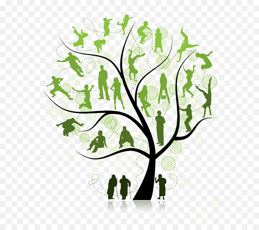 Family Tree Clipart Png - Transparent Family Tree Png,Tree Clipart Transparent Background