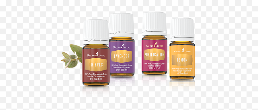 Laurine Saba Cnhp Young Living Essential Oils 600 Oswego St - Young Living Essential Oils Transparent Png,Young Living Logo Png