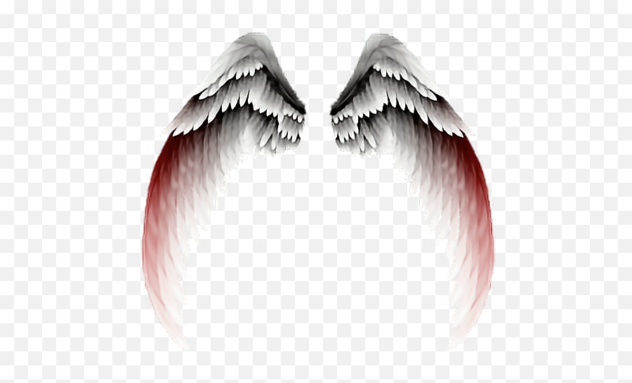 Alas Rojas Blancasmnegras Angel Amor Love - Wings Png,Alas Png