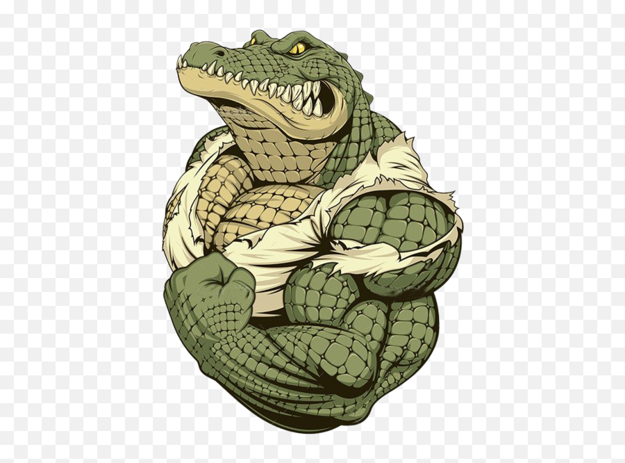 Crocodile - Strong Crocodile Cartoon Png,Crocodile Png