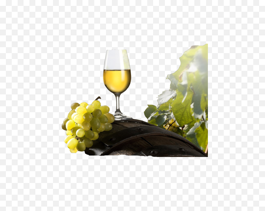 Wine Png Image - Wine And Grapes Png,Wine Png