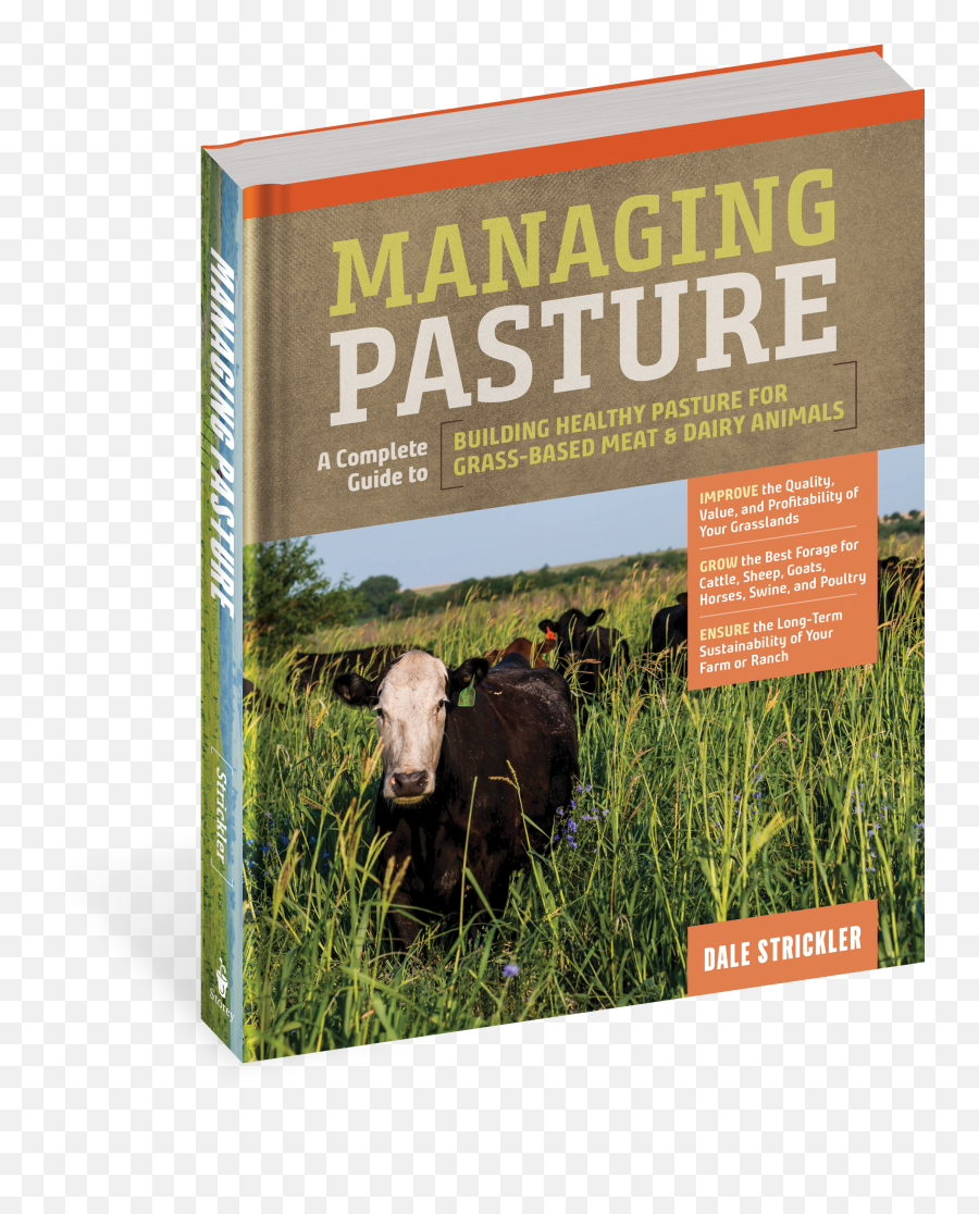 Managing Pasture - Farm Png,Long Grass Png