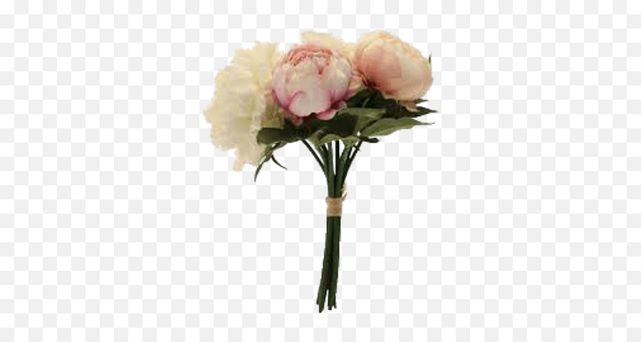 Bouquet Of Pink Peonies Transparent Png - Peony Bouquet Png,Peonies Png