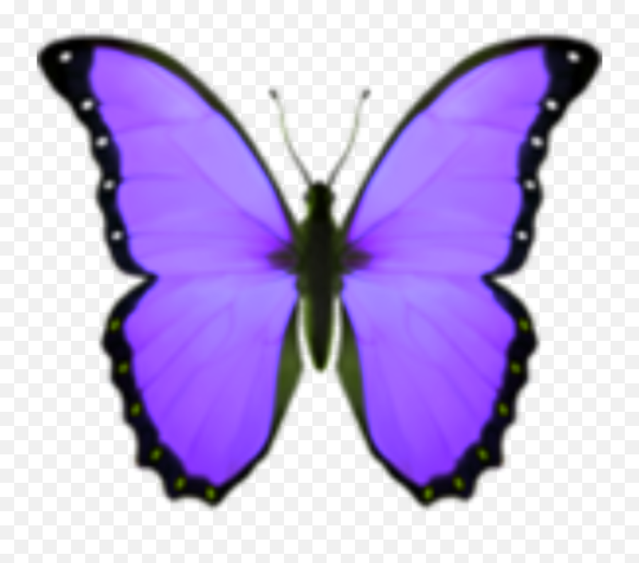 Sticker - Papilio Png,Purple Emoji Png