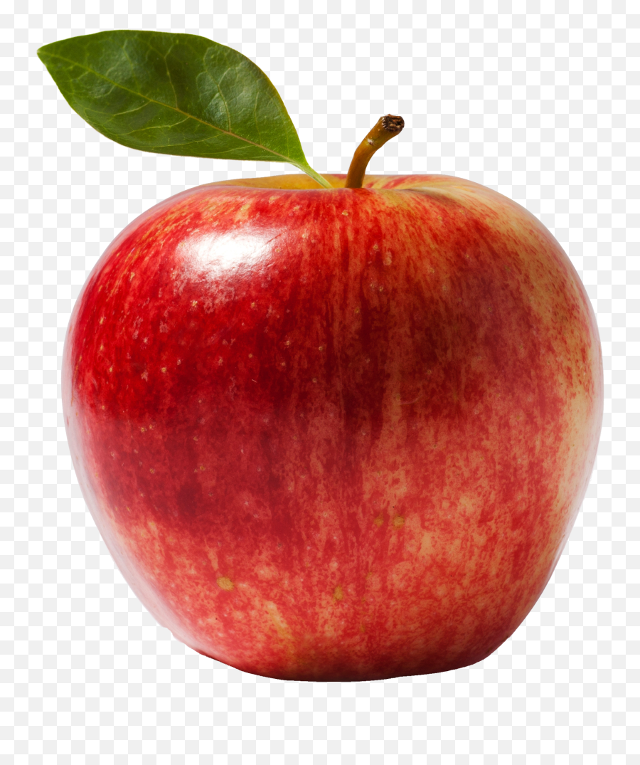 Download Fresh Apple Png Image For Free - Scientific Name Of Apple,Apple Png