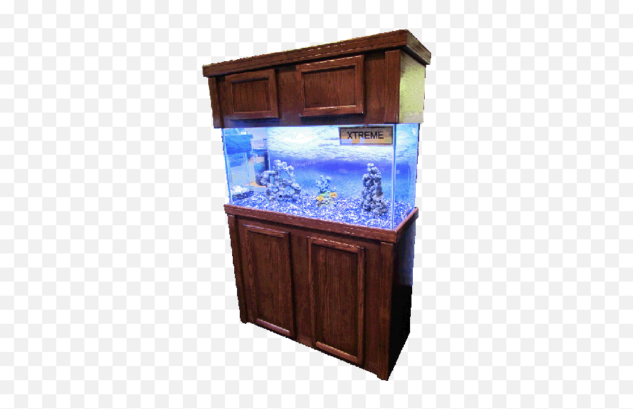 Download Aquarium Furniture Image Png Free Hq - Sump Aquarium Furniture,Fish Tank Png