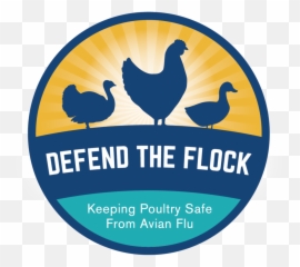 Usda Avian Influenza U2014 Ejmill Design - Convento Da Penha png