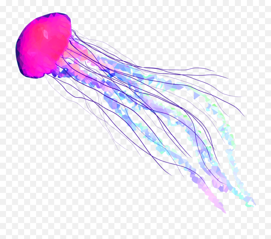 Jellyfish Fish Seas Underwater Freetoedit - Jelly Fish Transparent Background Png,Jellyfish Png