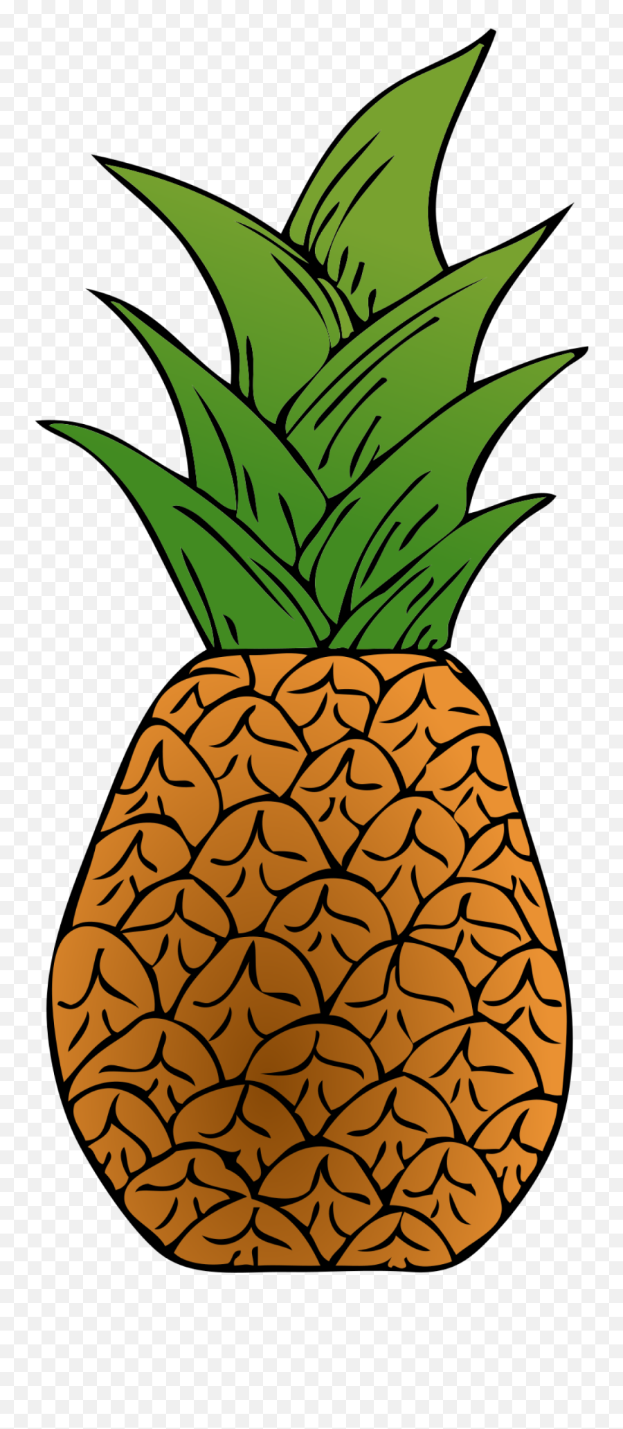 Pineapple Png Clip Arts For Web - Clip Arts Free Png Backgrounds Pineapple Top Cartoon,Pineapple Clipart Transparent Background