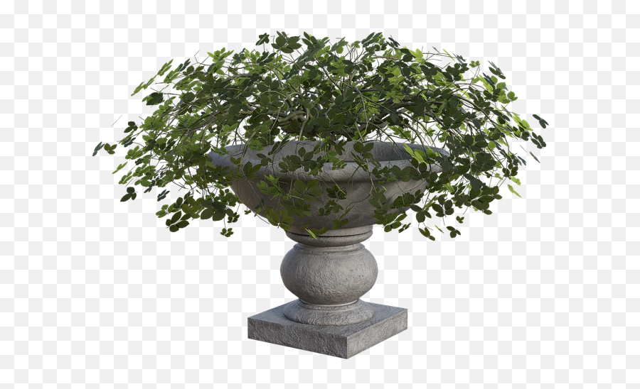Planter Plants Green - Free Image On Pixabay Tree Png,Planter Png
