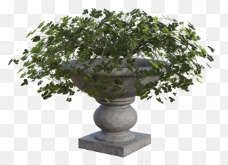 Planter Plants Green - Free Image On Pixabay Tree Png,Planter Png