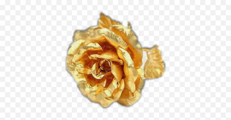 Download Hd Gold Rose - 24 Carat Gold Flower Transparent Png Golden Rose,Gold Flower Png