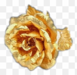 Download Hd Gold Rose - 24 Carat Flower Transparent PNG Golden