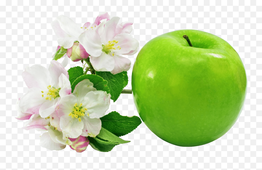 Apple Green Flowers Transparent Png - Stickpng Apple Crown Royal Gifts,Apples Transparent Background